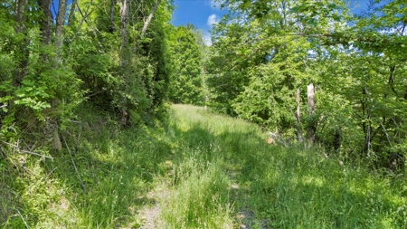 Large Land Tract for Sale in Floyd County, VA - image 22