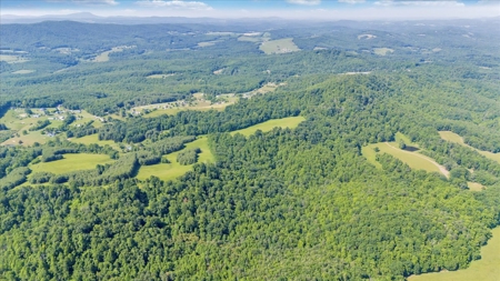 Large Land Tract for Sale in Floyd County, VA - image 9