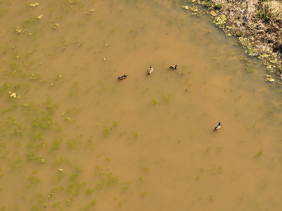 Waterfowl Property For Sale Lamar Mo - image 30