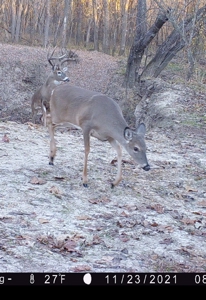 Waterfowl Property For Sale Lamar Mo - image 49