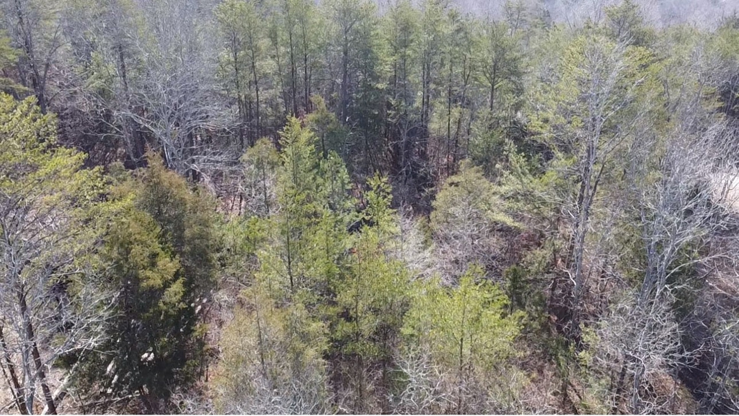 No Caption