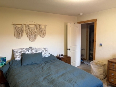 Affordable Ridgway Condo Near Ouray & Telluride For Sale - image 11