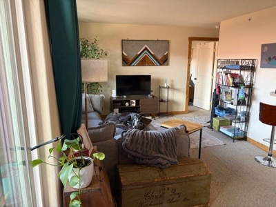 Affordable Ridgway Condo Near Ouray & Telluride For Sale - image 9