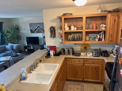 Affordable Ridgway Condo Near Ouray & Telluride For Sale - image 5