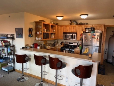 Affordable Ridgway Condo Near Ouray & Telluride For Sale - image 6