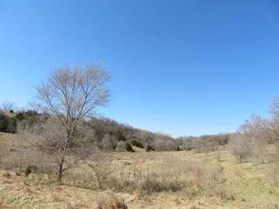 Multi-Use Acreage For Sale in Missouri Valley, Iowa - image 9