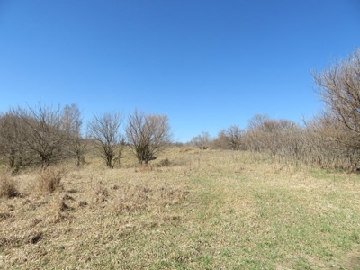 Multi-Use Acreage For Sale in Missouri Valley, Iowa - image 13