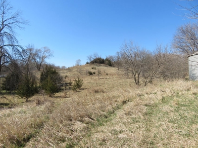 Multi-Use Acreage For Sale in Missouri Valley, Iowa - image 7