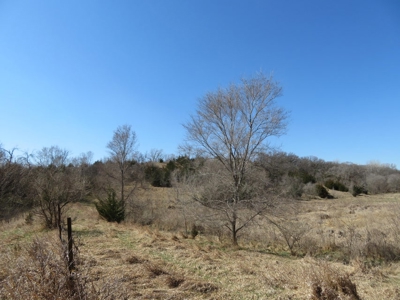 Multi-Use Acreage For Sale in Missouri Valley, Iowa - image 8