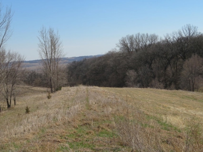 Multi-Use Acreage For Sale in Missouri Valley, Iowa - image 11