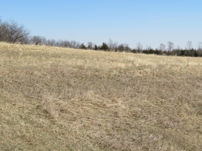 Multi-Use Acreage For Sale in Missouri Valley, Iowa - image 12