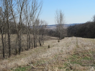 Multi-Use Acreage For Sale in Missouri Valley, Iowa - image 10
