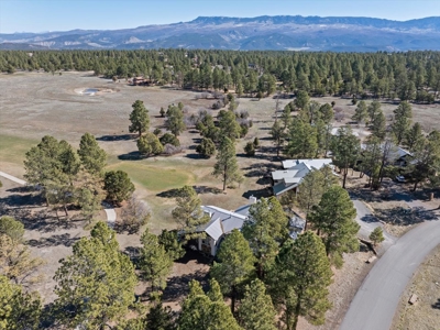 Divide Ranch Golf Condo for Sale Near Ridgway & Telluride - image 1