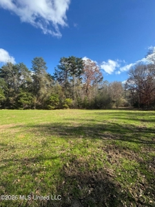 South Mississippi Hunting Land for Sale in Walthall County - image 24