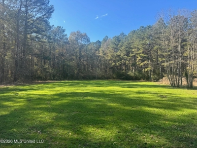 South Mississippi Hunting Land for Sale in Walthall County - image 3