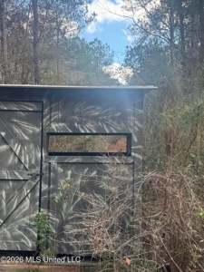 South Mississippi Hunting Land for Sale in Walthall County - image 12