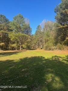 South Mississippi Hunting Land for Sale in Walthall County - image 41