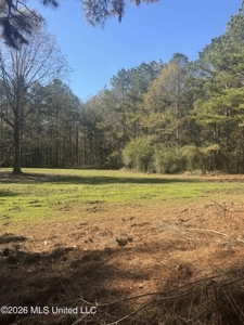 South Mississippi Hunting Land for Sale in Walthall County - image 40