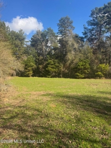 South Mississippi Hunting Land for Sale in Walthall County - image 23