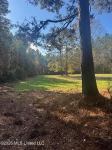 South Mississippi Hunting Land for Sale in Walthall County - image 38
