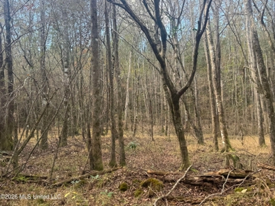 South Mississippi Hunting Land for Sale in Walthall County - image 27