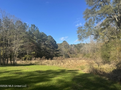 South Mississippi Hunting Land for Sale in Walthall County - image 34