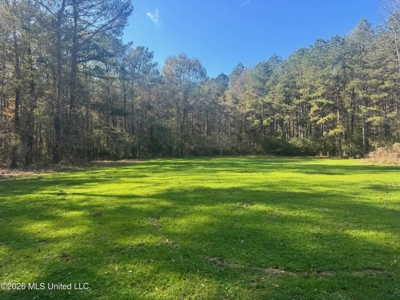 South Mississippi Hunting Land for Sale in Walthall County - image 35