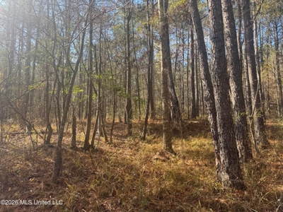 South Mississippi Hunting Land for Sale in Walthall County - image 31