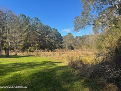 South Mississippi Hunting Land for Sale in Walthall County - image 33