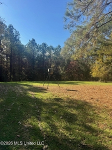 South Mississippi Hunting Land for Sale in Walthall County - image 5