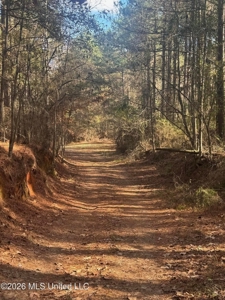 South Mississippi Hunting Land for Sale in Walthall County - image 8