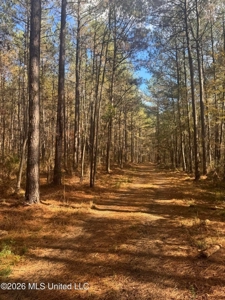 South Mississippi Hunting Land for Sale in Walthall County - image 14