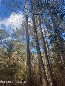 South Mississippi Hunting Land for Sale in Walthall County - image 13