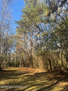 South Mississippi Hunting Land for Sale in Walthall County - image 45