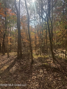 South Mississippi Hunting Land for Sale in Walthall County - image 21