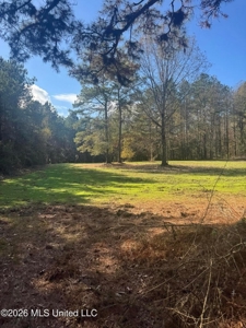 South Mississippi Hunting Land for Sale in Walthall County - image 39