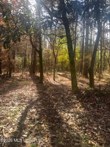 South Mississippi Hunting Land for Sale in Walthall County - image 18