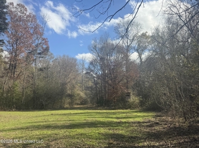 South Mississippi Hunting Land for Sale in Walthall County - image 1