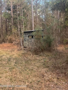 South Mississippi Hunting Land for Sale in Walthall County - image 11