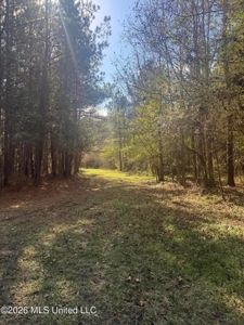South Mississippi Hunting Land for Sale in Walthall County - image 19