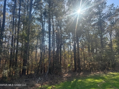 South Mississippi Hunting Land for Sale in Walthall County - image 36