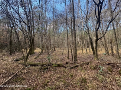 South Mississippi Hunting Land for Sale in Walthall County - image 28
