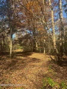 South Mississippi Hunting Land for Sale in Walthall County - image 4