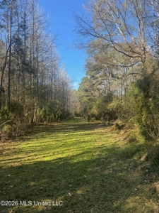 South Mississippi Hunting Land for Sale in Walthall County - image 43