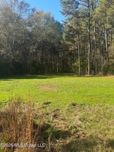 South Mississippi Hunting Land for Sale in Walthall County - image 46