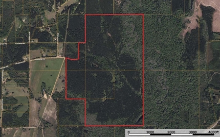 South Mississippi Hunting Land for Sale in Walthall County - image 49