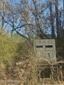 South Mississippi Hunting Land for Sale in Walthall County - image 42