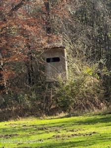 South Mississippi Hunting Land for Sale in Walthall County - image 25