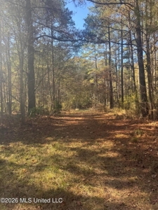 South Mississippi Hunting Land for Sale in Walthall County - image 37