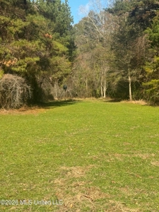 South Mississippi Hunting Land for Sale in Walthall County - image 26